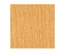 Yellow zelkova